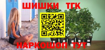 PSILOCYBIN Камышлов
