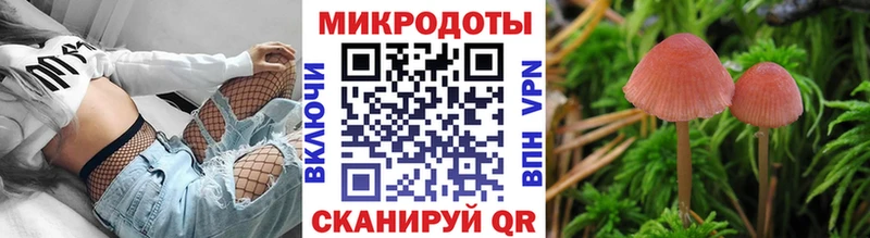 hydra зеркало  где найти наркотики  Черняховск  Галлюциногенные грибы Psilocybe 