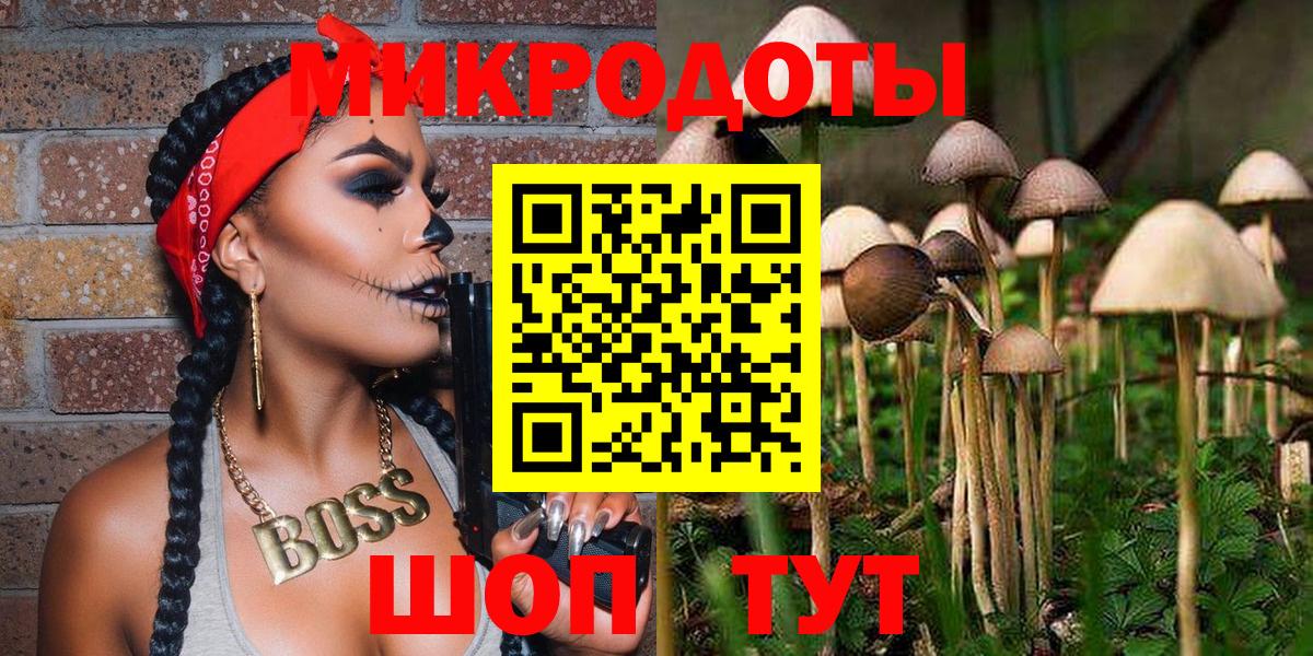 Псилоцибиновые грибы Psilocybe  Галлюциногенные грибы GOLDEN TEACHER  Черняховск 